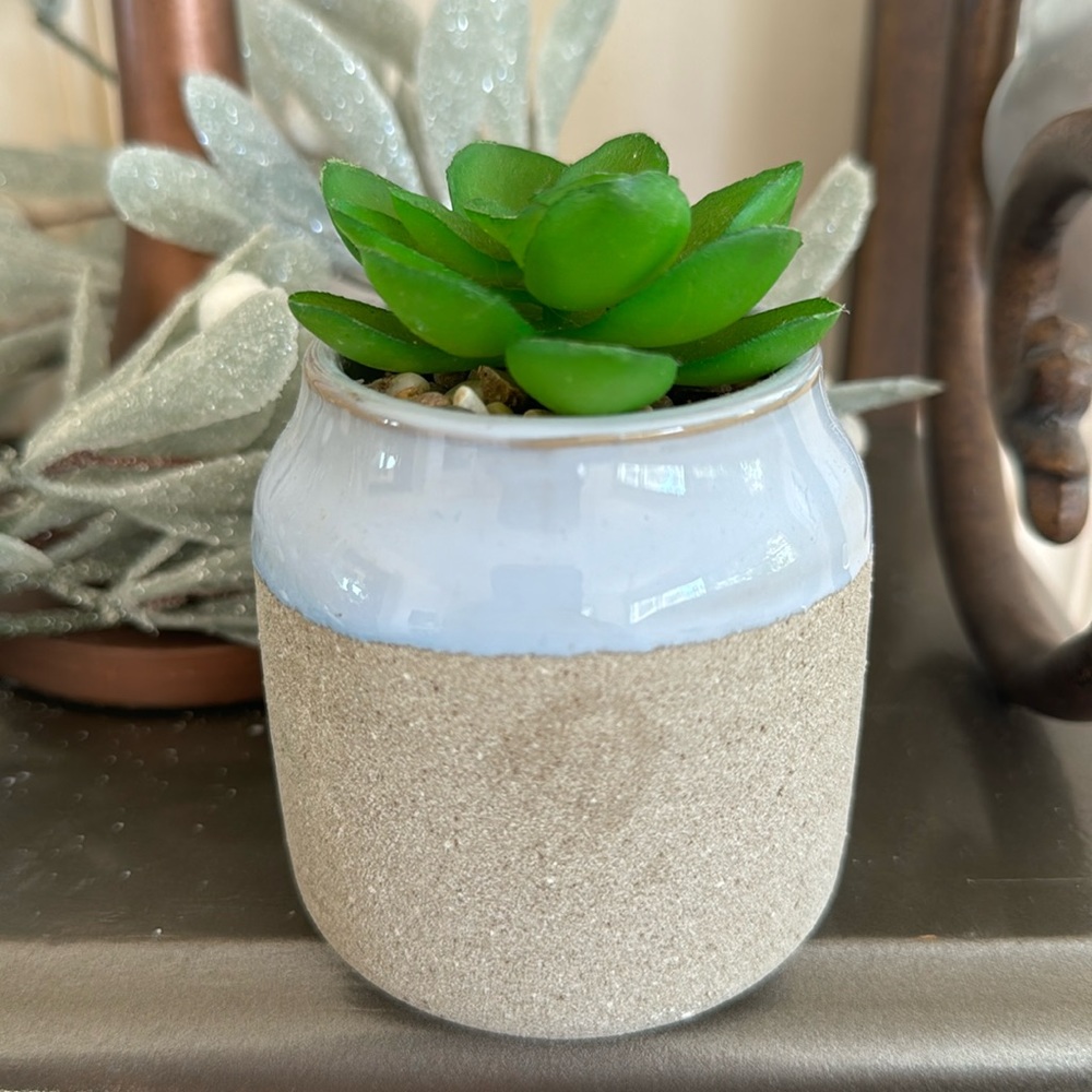 Little faux succulent decor